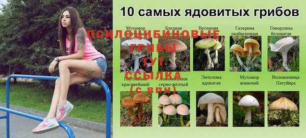 MESCALINE Аркадак