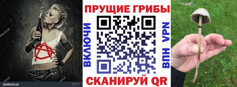 Галлюциногенные грибы Psilocybine cubensis  Бабушкин 